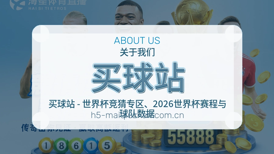 关于我们体育资讯整理与品牌服务场景