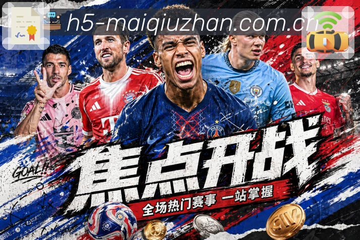 世界杯足球赛事现场与赛程观察
